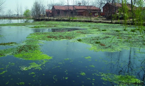 &ldquo;����Ѽ��&rdquo;��Ӣũҵ����Ⱦ�Ծ�