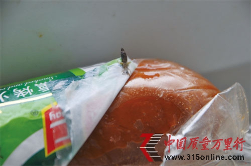 ��˫��ڳ��¼��������˳ƽ�ͨ������άȨ