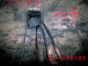 �������ѣ�����Ǳ�������ֺ�ɫ������