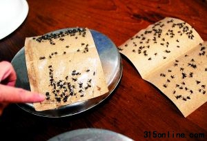 ���ٲ�Ӭ����ͷ���Ϸ��衣