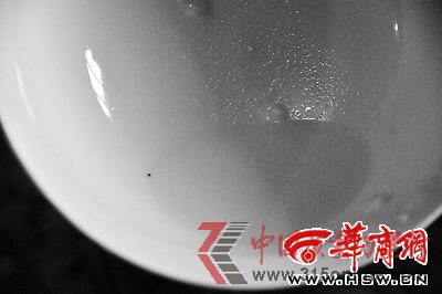���޳��̷��з��ֺ�ɫ���� �ۻ�Ա���ǽ���ûӰ��