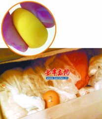 �䶳���������ɵ����� �ܵ���15���׸�