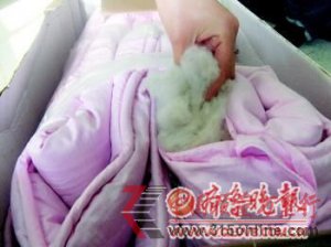 ��̨������Ĳ�˿������������ ��������ð�ƻ�