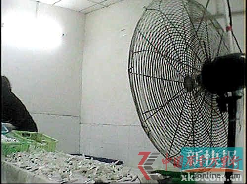 ��ݸݸ����һ�����÷��ȴ��ɲ;ߡ�