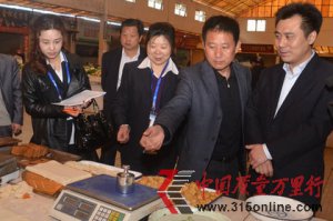 �γ����ζ��ʼ����ʵ��չ������ѡ��춨�
