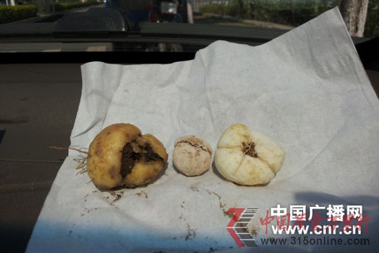 ����������Ϊ�����ڳ������㱴ĸ��ʯ�Ҽӹ����㱴ĸ�����Ѭ�����㱴ĸ�����Կ��Կ������Ѭ�������㱴ĸƷ��á�