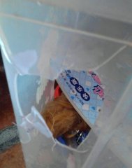 �����޹������뱬ը�� ���ѳ���Ӫ�����߿�������