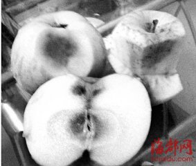 �ֶ����۰�����ƻ�����ر������ȴ��������