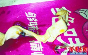 ��ζ����Ѽ��������Ӭ ��ҳ�ɾ��֤�ݲ��⳥