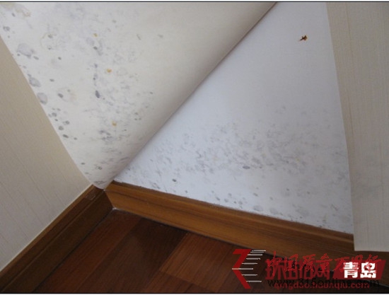 �������ҳ�ù�ߵ�ǽ��