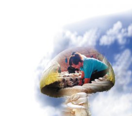 ҵ����̯��1��Ģ���ݳ�2.2��