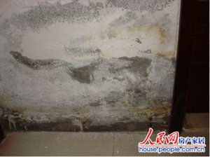 �ͼǻ��ҹ���¥������������ ���໧ǽ����ˮ