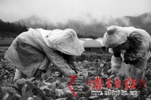 ����ع���Ӯ��������ս���л���ר���������