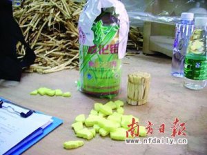��ҵ��Ǳ�������Ѭ��ɳ��