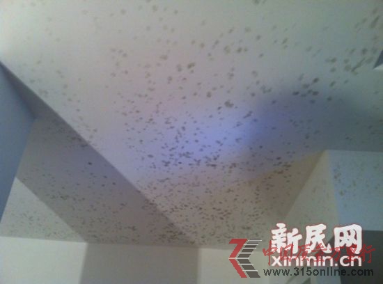 �̵�Ǿޱ�ļ��Ķ��ױ���������ˮ���컨�巢ù�����������ߺ��嫑 �ֳ��ش�  