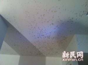 �Ϻ���ɽ�̵ض��ױ�����ˮ��ù ��ˮ�漰��50��