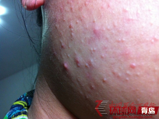 ��Ůʿ3680Ԫ�����Ƴ̻���һ��������