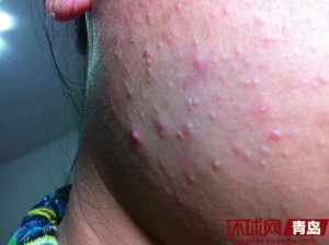 ֲ����3680Ԫ�����Ƴ̻���һ����(ͼ��