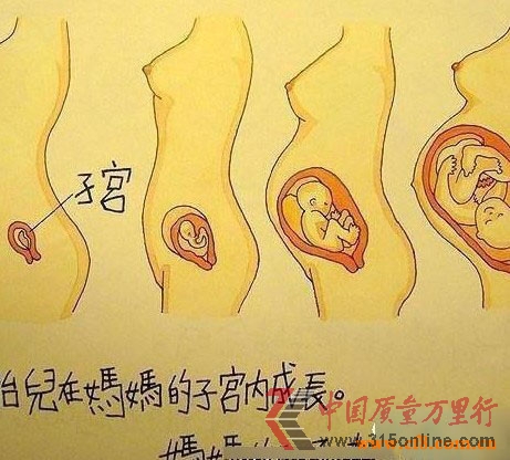 �������Сѧ���꼶�Ŀα����ݣ���