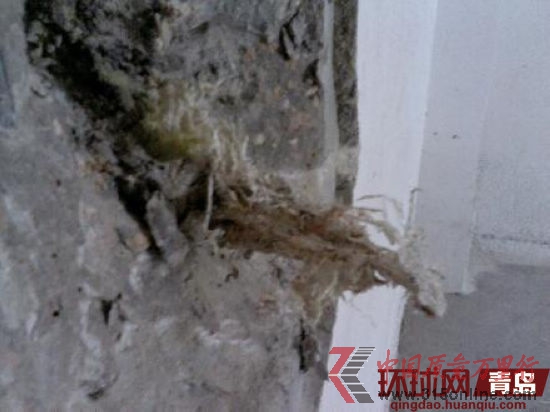 �ൺ��Ƴ�ǽ��¶���ı�֯������
