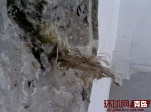 �ൺ��Ʊ�ָ�ý���������ǽ �����·����ⲻ��