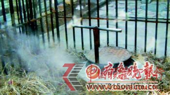 �Թ�վ��������׬��ۣ�ů�����������󼸰���