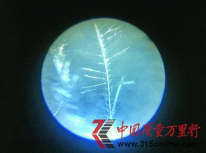 ��������Ʒ��Ļ:����Ǯ��˿ð�伸�ٿ����