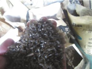 ���ݲ;���������״������ �����̫����